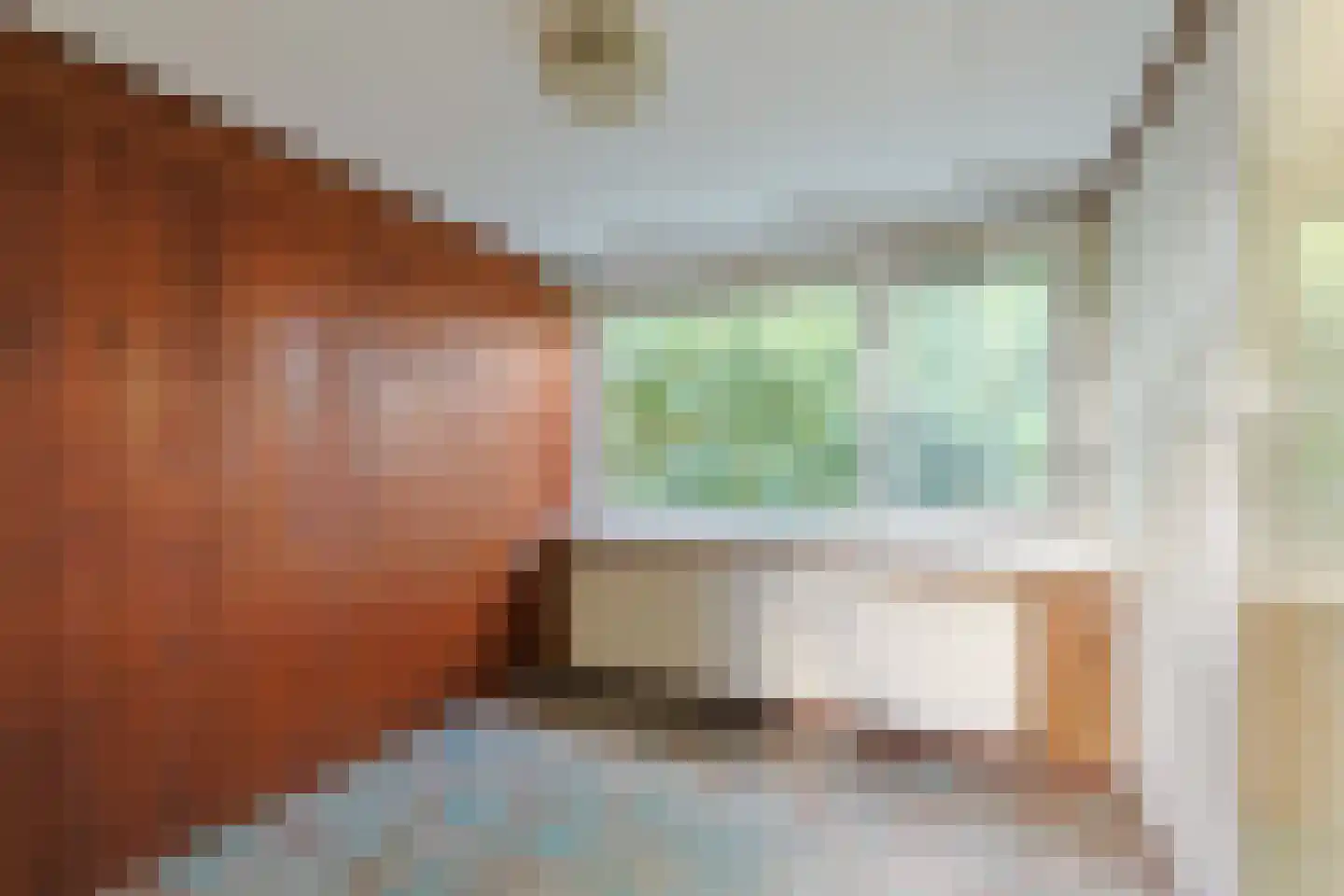 Jacob Catsstraat 9 Alphen aan den Rijn thumbnail 44