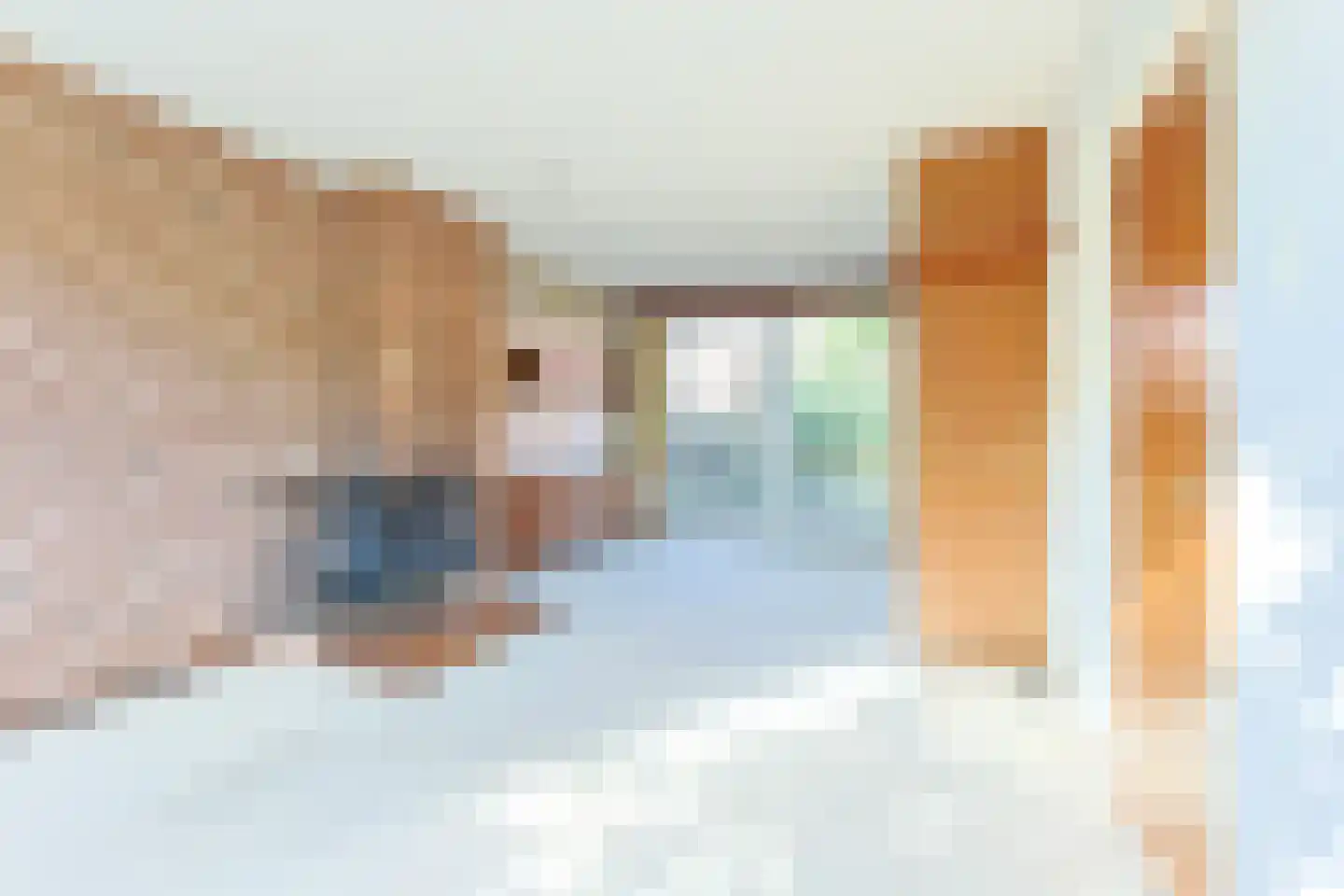 Jacob Catsstraat 9 Alphen aan den Rijn thumbnail 9