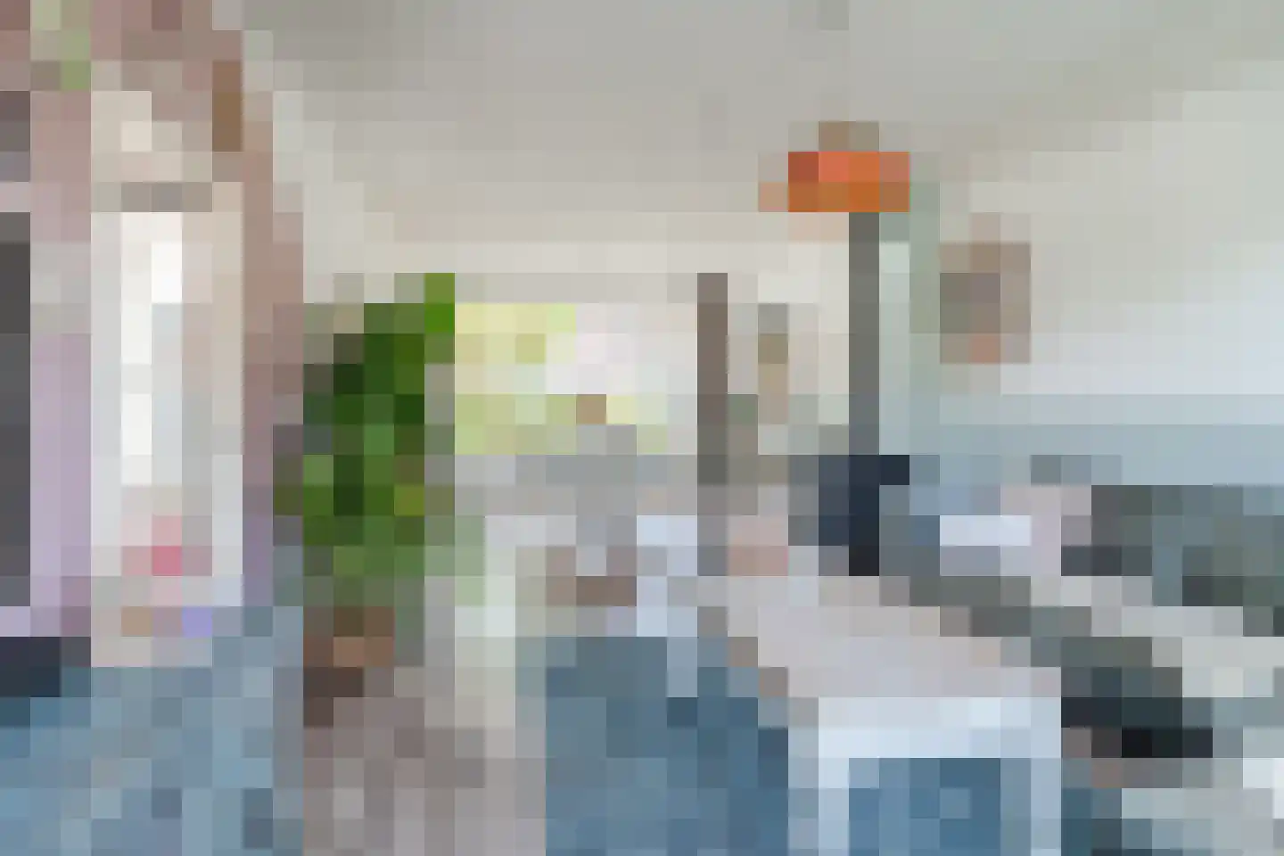 Jacob Catsstraat 9 Gemert thumbnail 15