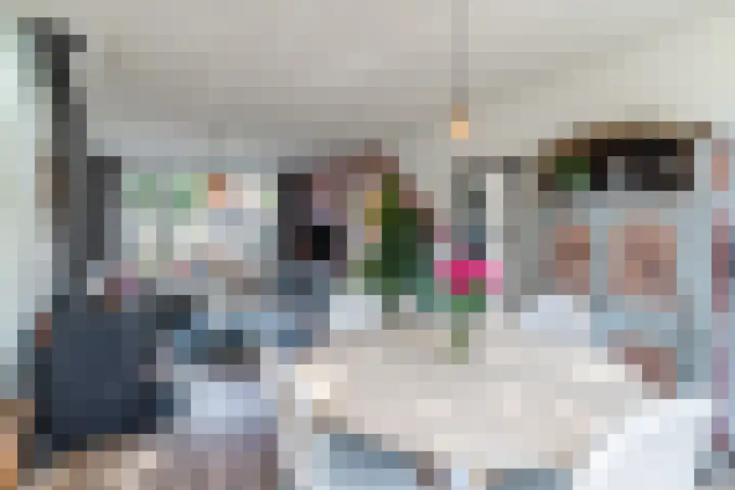 Jacob Catsstraat 9 Gemert thumbnail 21