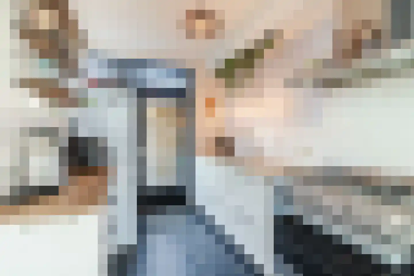 Jacob Catsstraat 9 Gemert thumbnail 23