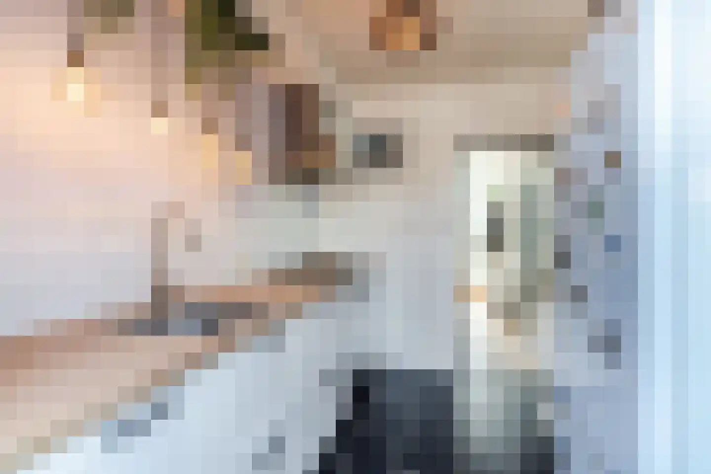 Jacob Catsstraat 9 Gemert thumbnail 24