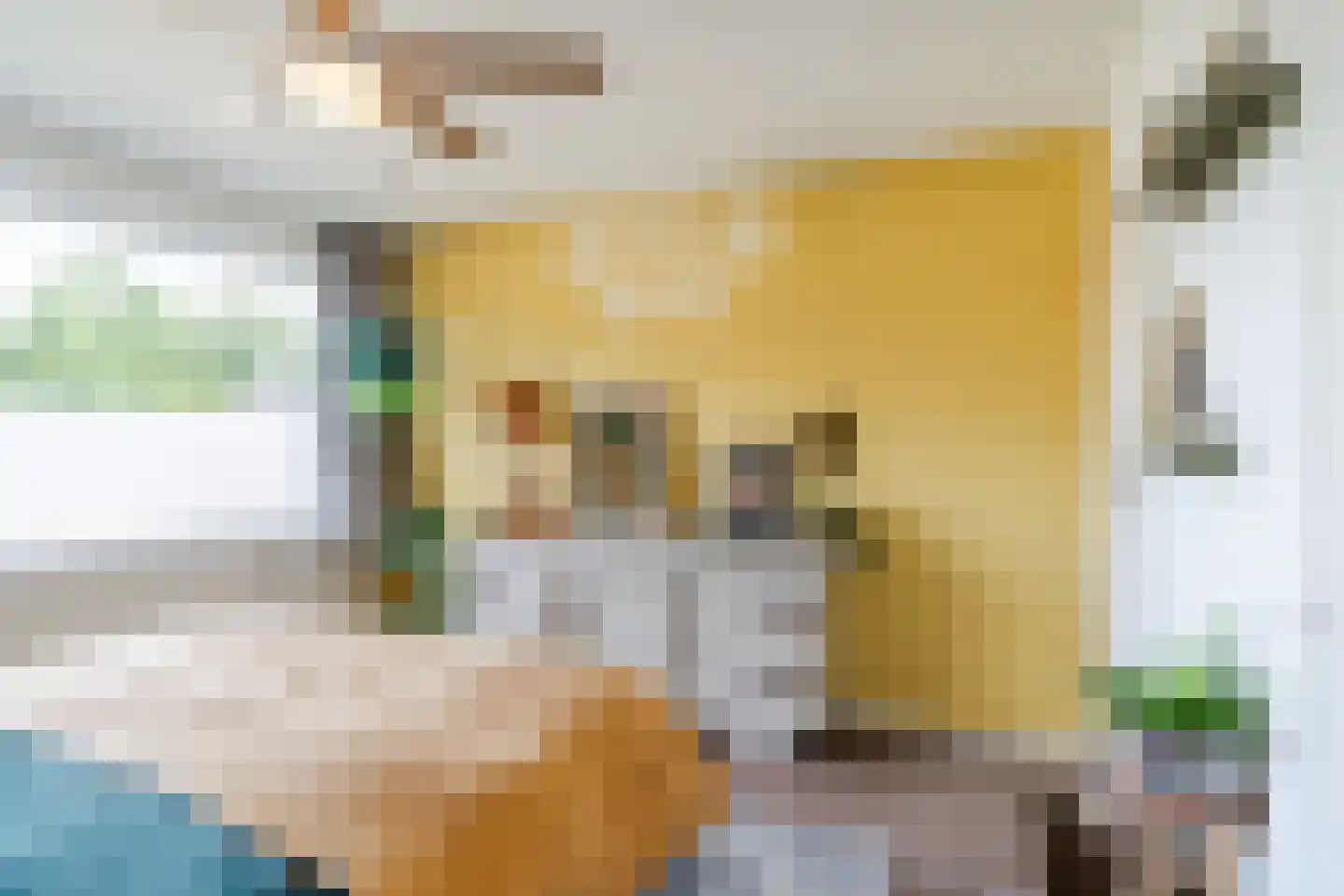 Jacob Catsstraat 9 Gemert thumbnail 33