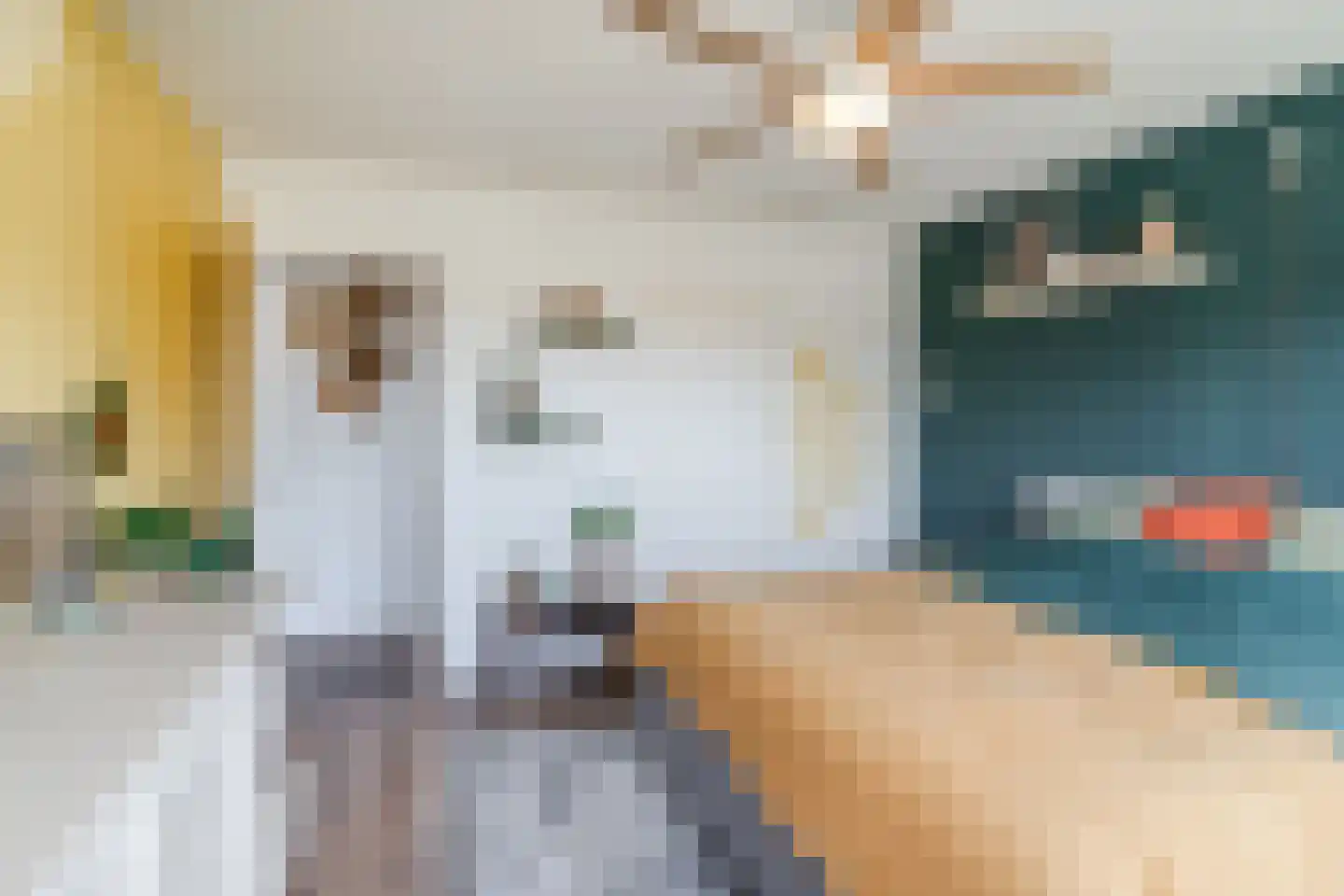 Jacob Catsstraat 9 Gemert thumbnail 34