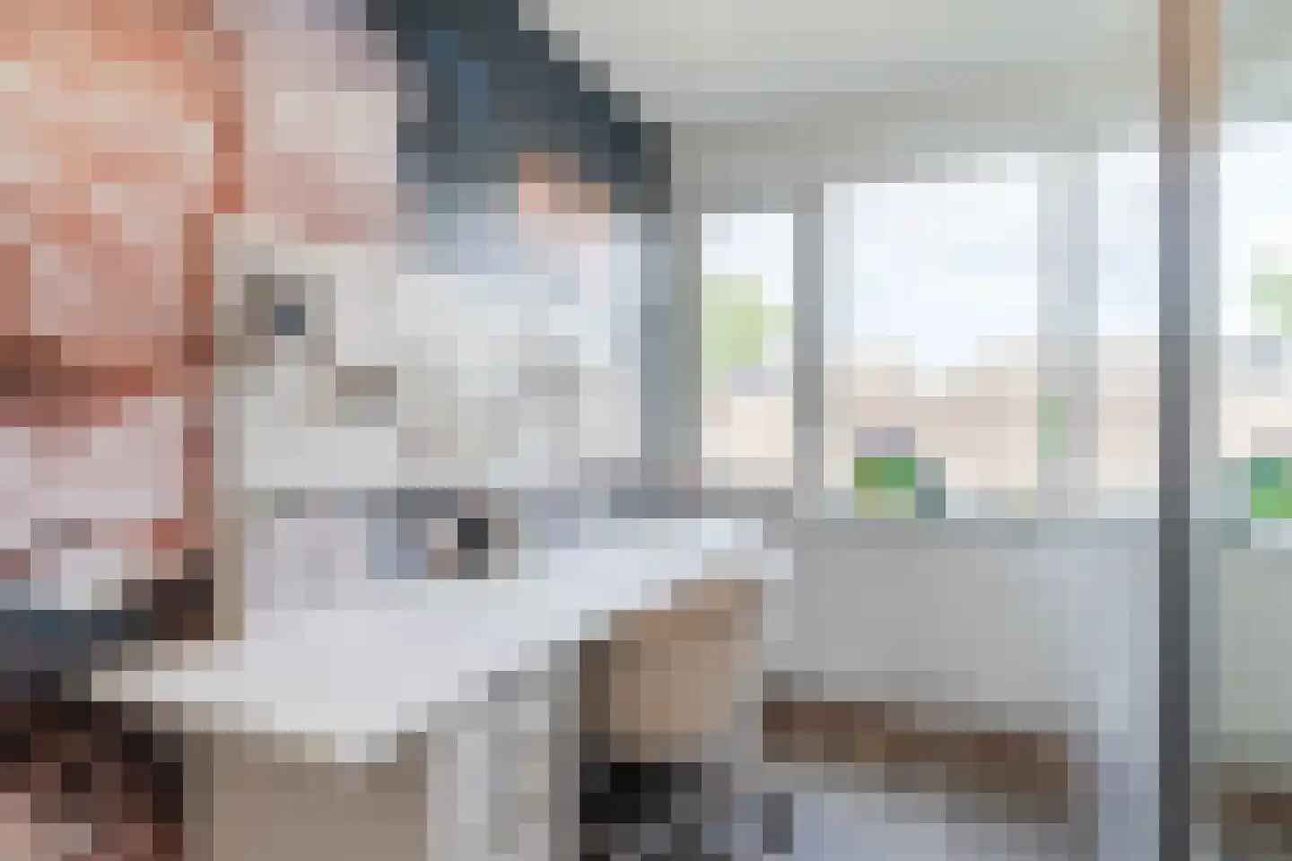 Jacob Catsstraat 9 Gemert thumbnail 35