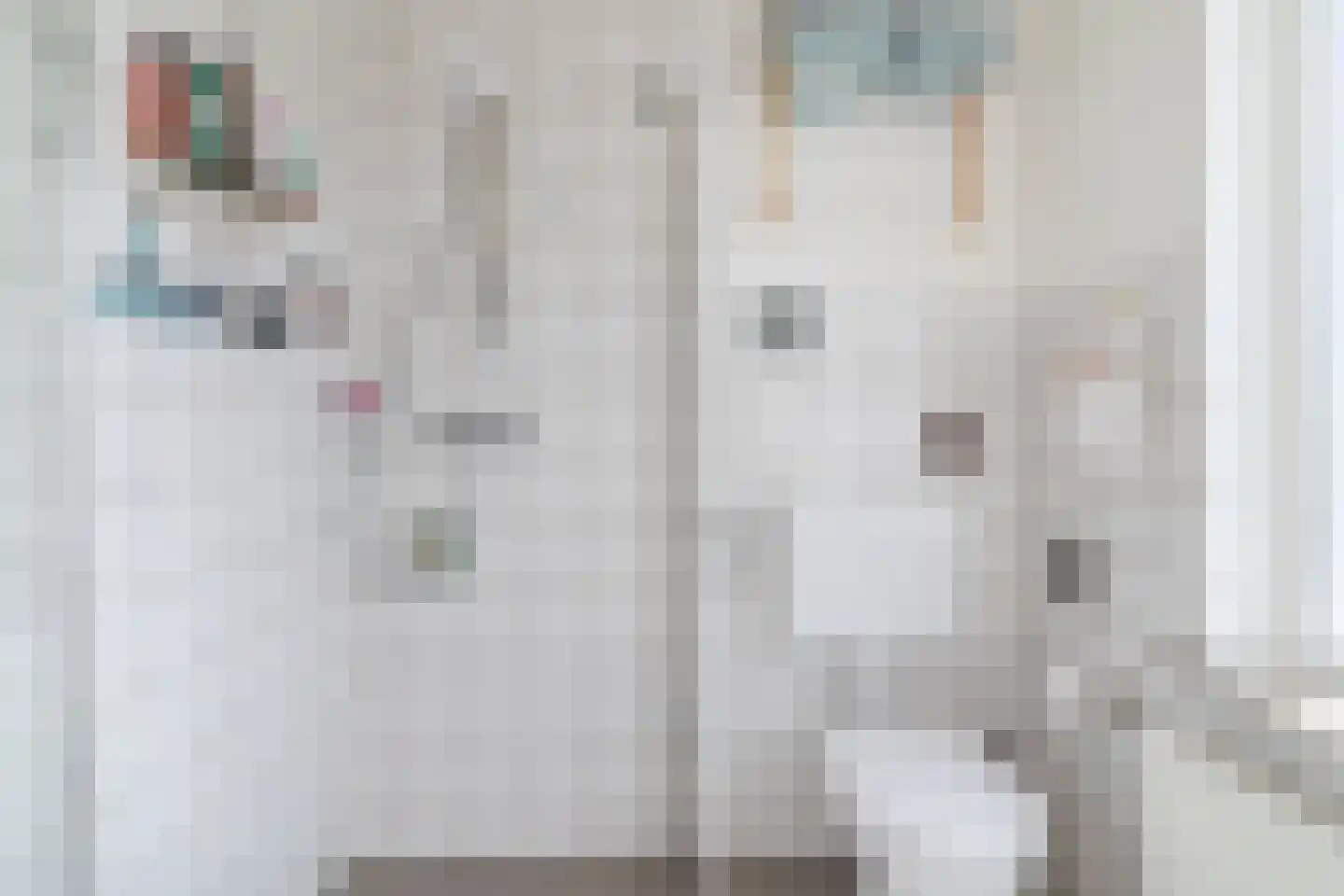 Jacob Catsstraat 9 Gemert thumbnail 39