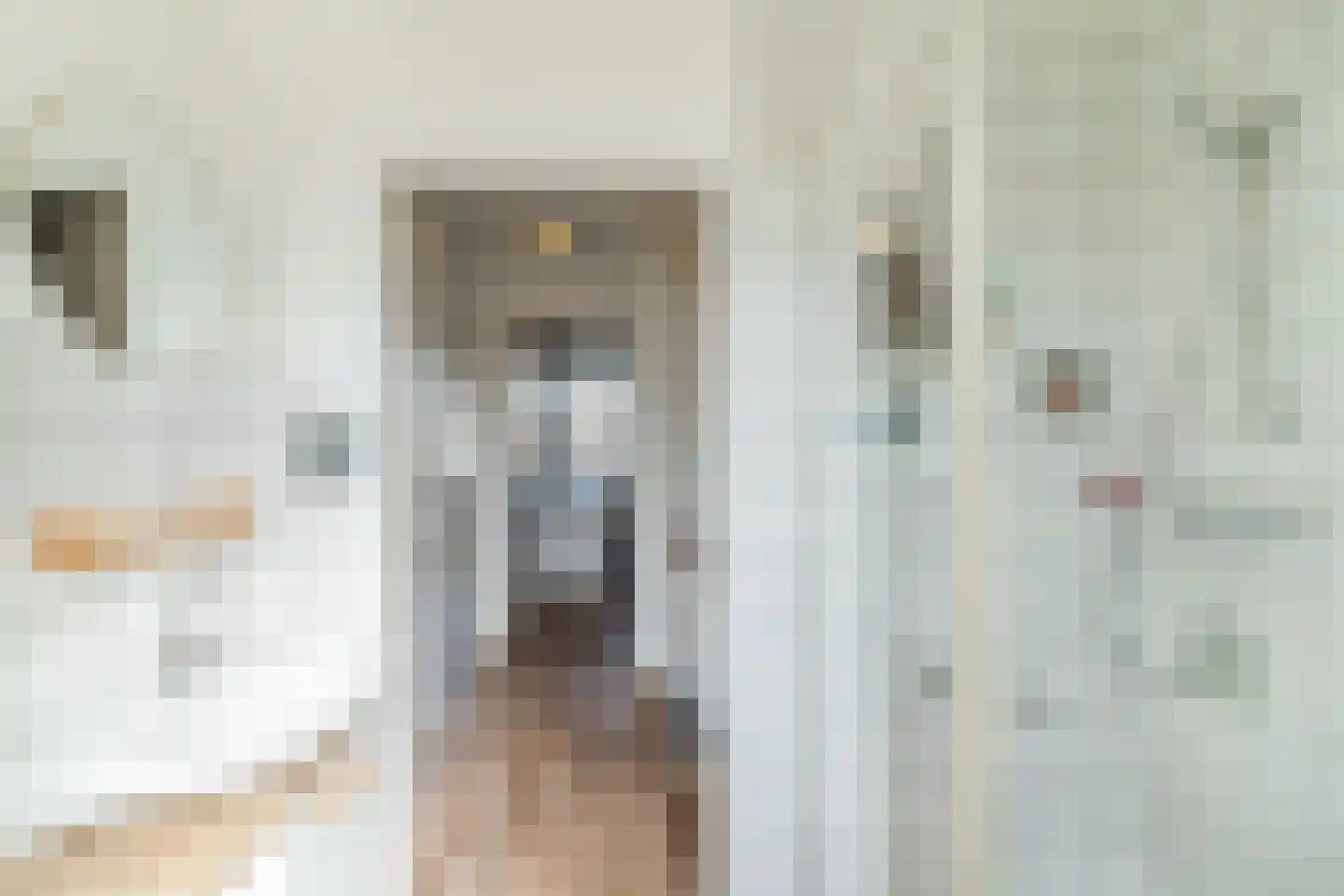 Jacob Catsstraat 9 Gemert thumbnail 40