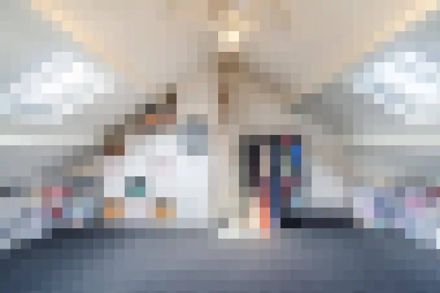 Jacob Catsstraat 9 Gemert thumbnail 44
