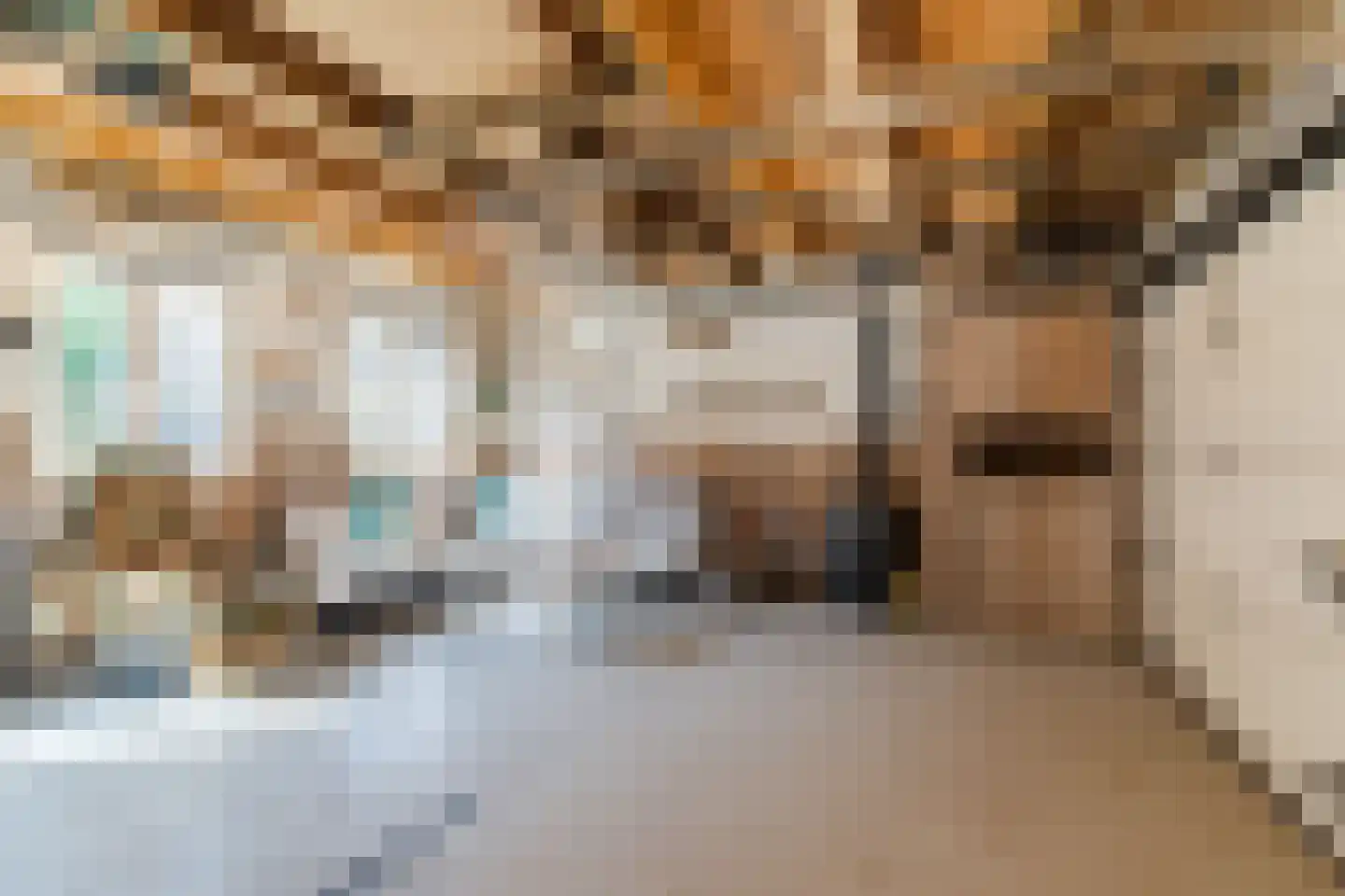 Jacob Catsstraat 9 Gemert thumbnail 58
