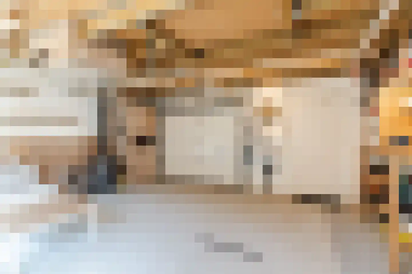 Jacob Catsstraat 9 Gemert thumbnail 59