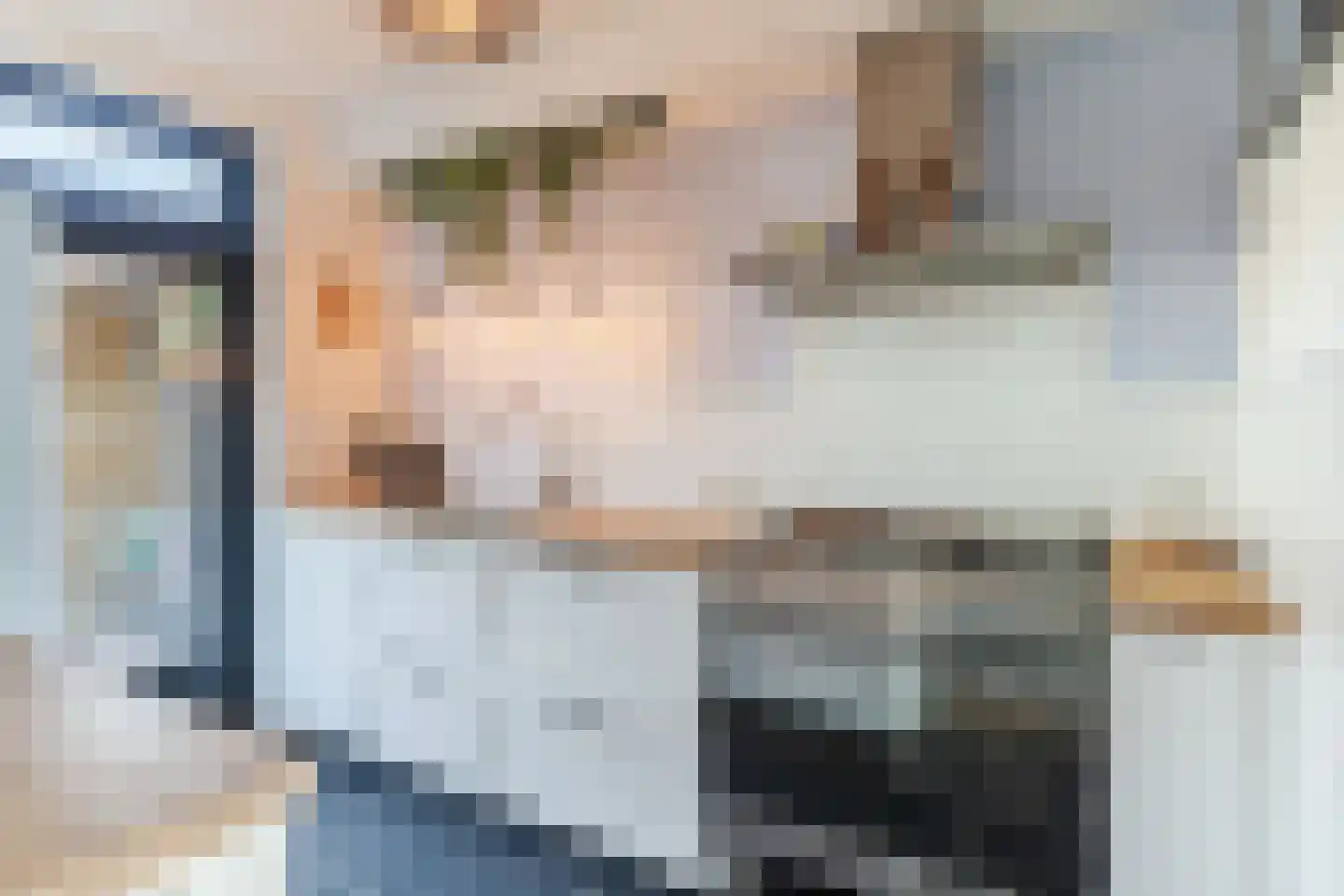 Jacob Catsstraat 9 Gemert thumbnail 6