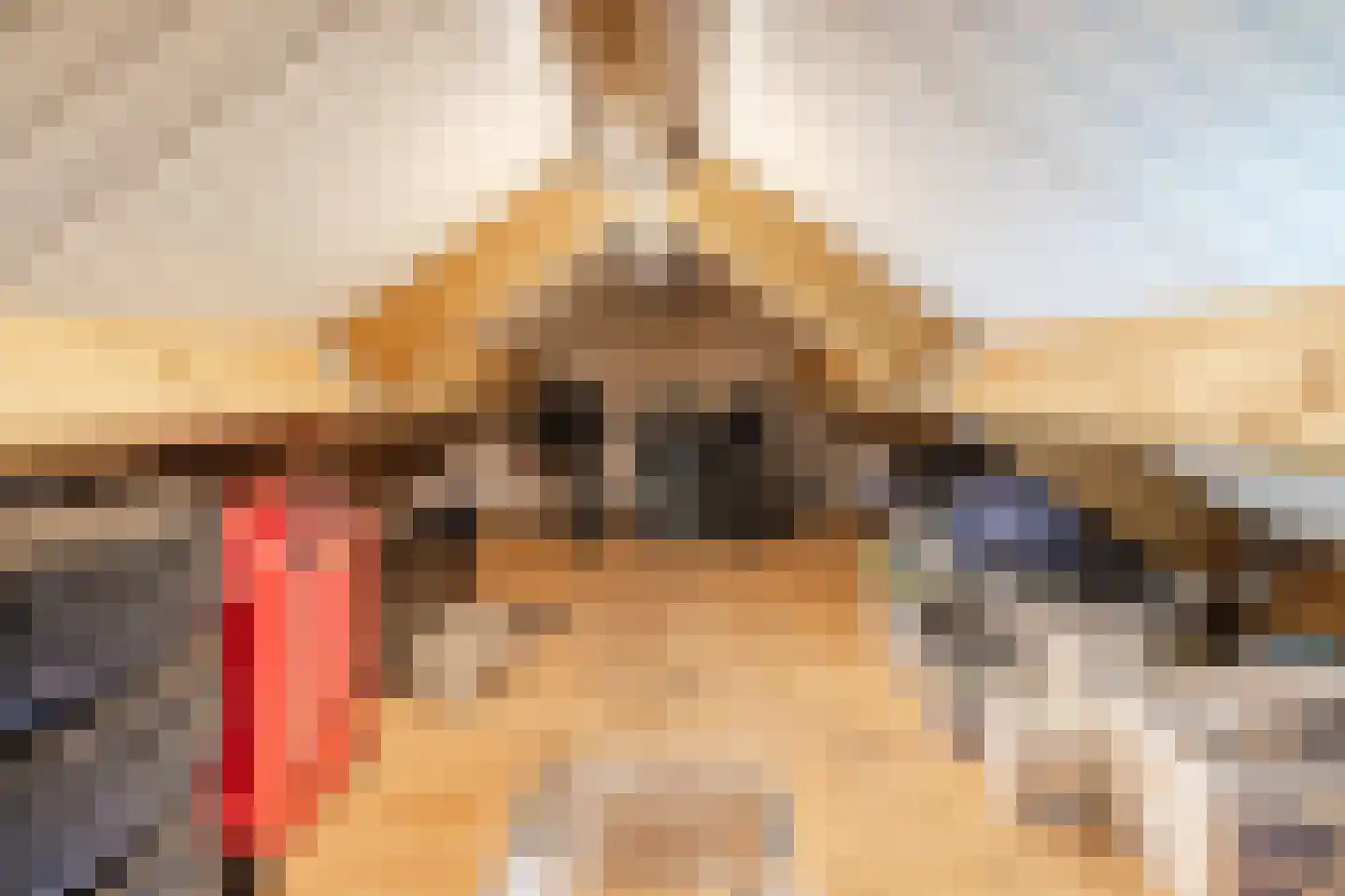 Jacob Catsstraat 9 Gemert thumbnail 61