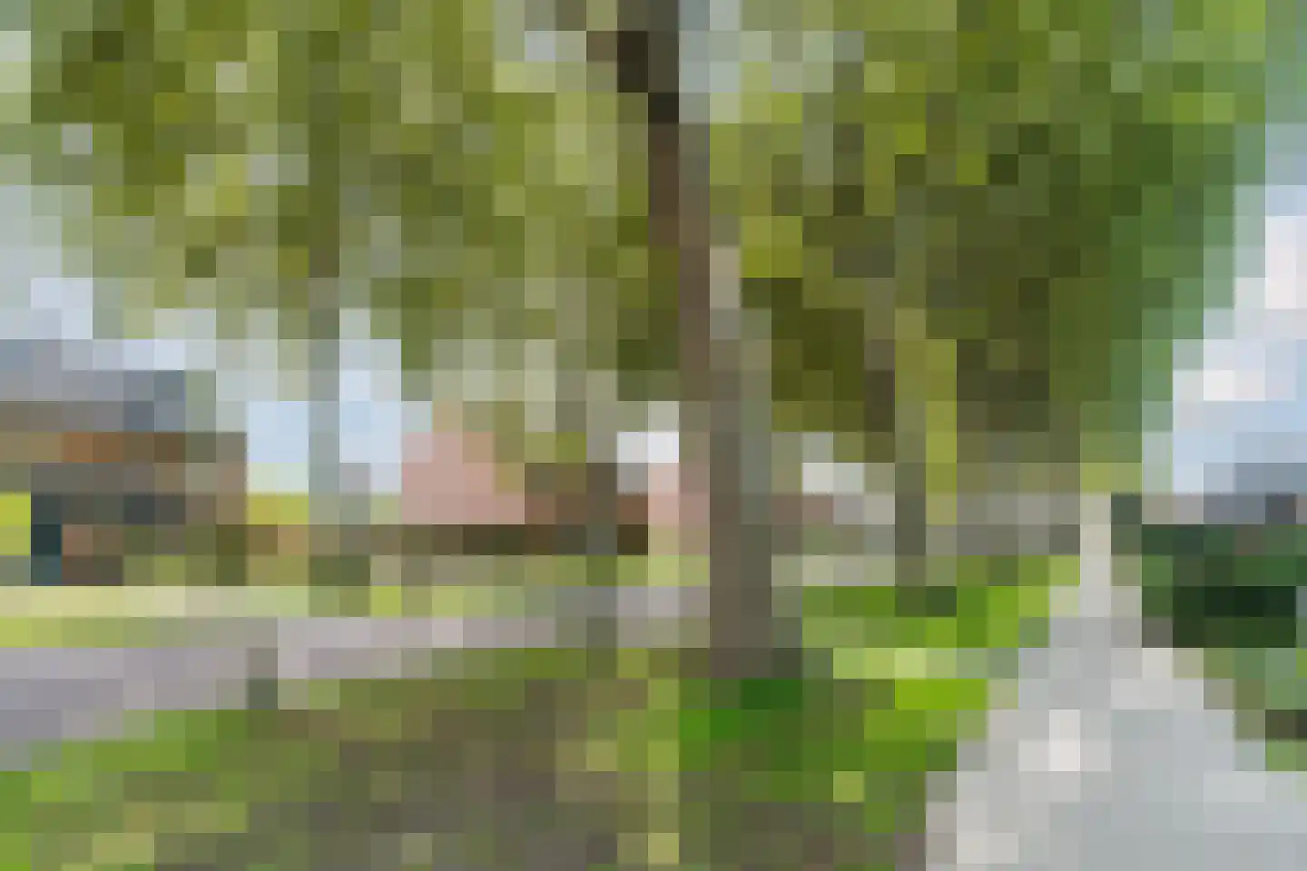Jacob Catsstraat 9 Gemert thumbnail 69