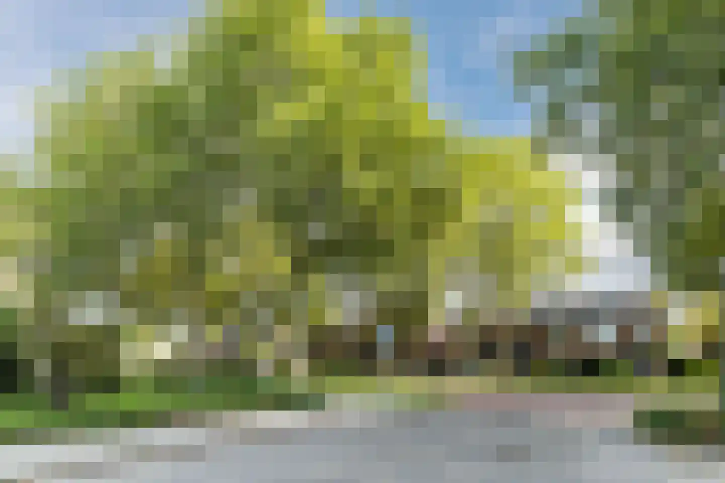 Jacob Catsstraat 9 Gemert thumbnail 70