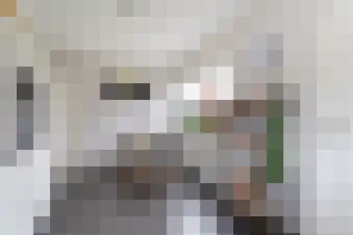 Jacob Catsstraat 9 Grijpskerke thumbnail 10