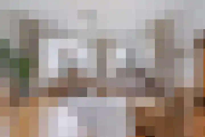 Jacob Catsstraat 9 Grijpskerke thumbnail 15