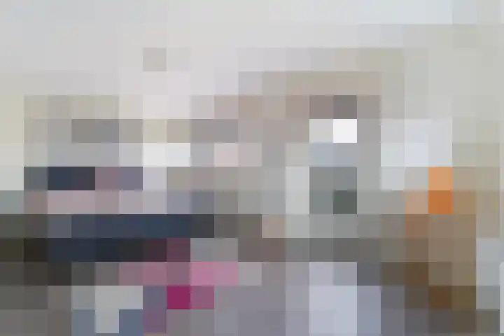 Jacob Catsstraat 9 Grijpskerke thumbnail 18