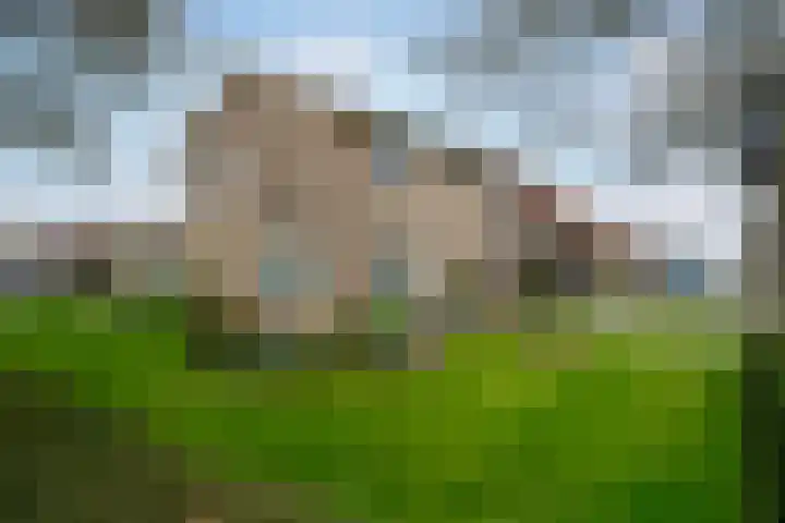 Jacob Catsstraat 9 Grijpskerke thumbnail 36