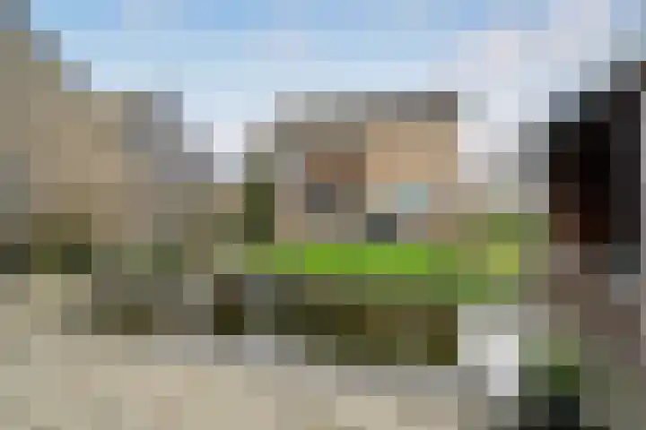 Jacob Catsstraat 9 Grijpskerke thumbnail 39