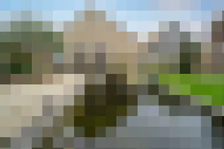 Jacob Catsstraat 9 Grijpskerke thumbnail 41
