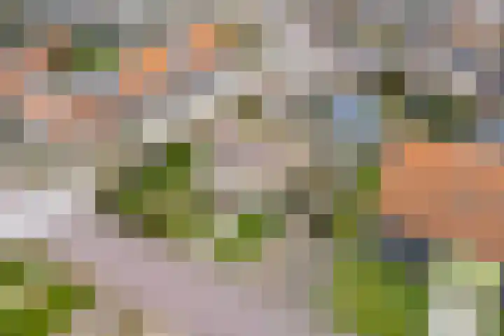 Jacob Catsstraat 9 Grijpskerke thumbnail 46