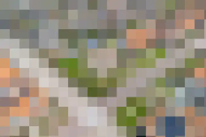 Jacob Catsstraat 9 Grijpskerke thumbnail 47