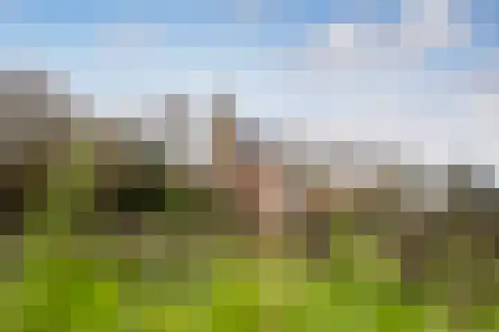 Jacob Catsstraat 9 Grijpskerke thumbnail 48