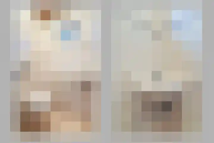 Jacob Catsstraat 9 Grijpskerke thumbnail 6