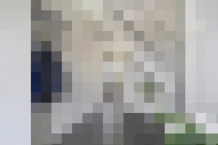 Jacob Catsstraat 9 Grijpskerke thumbnail 7