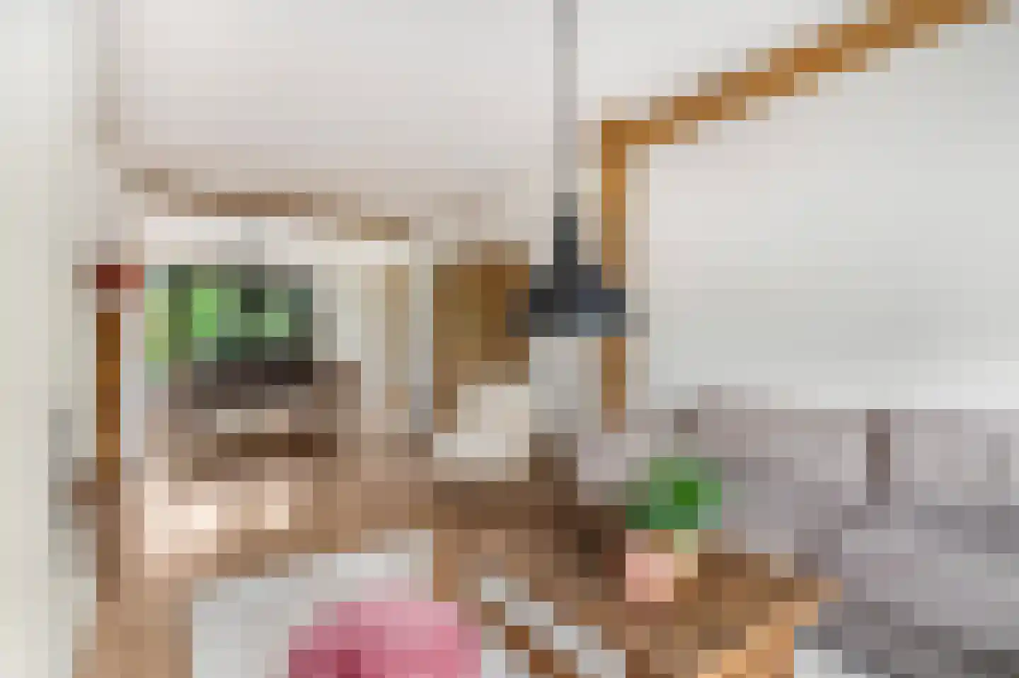 Jacob Catsstraat 9 Kesteren thumbnail 13