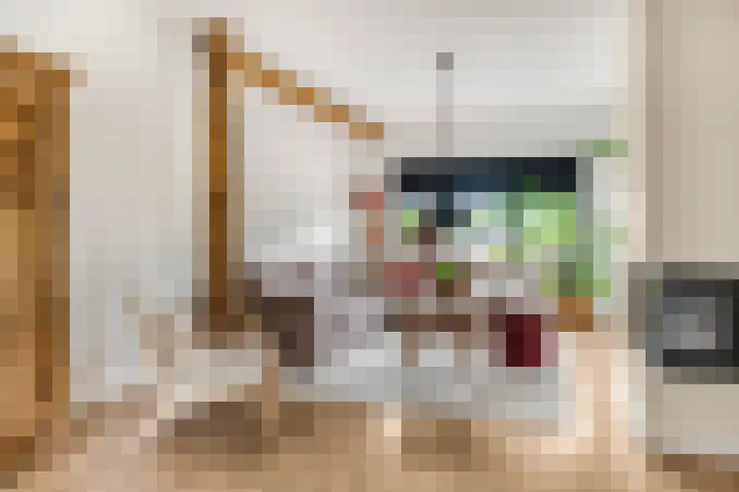 Jacob Catsstraat 9 Kesteren thumbnail 14