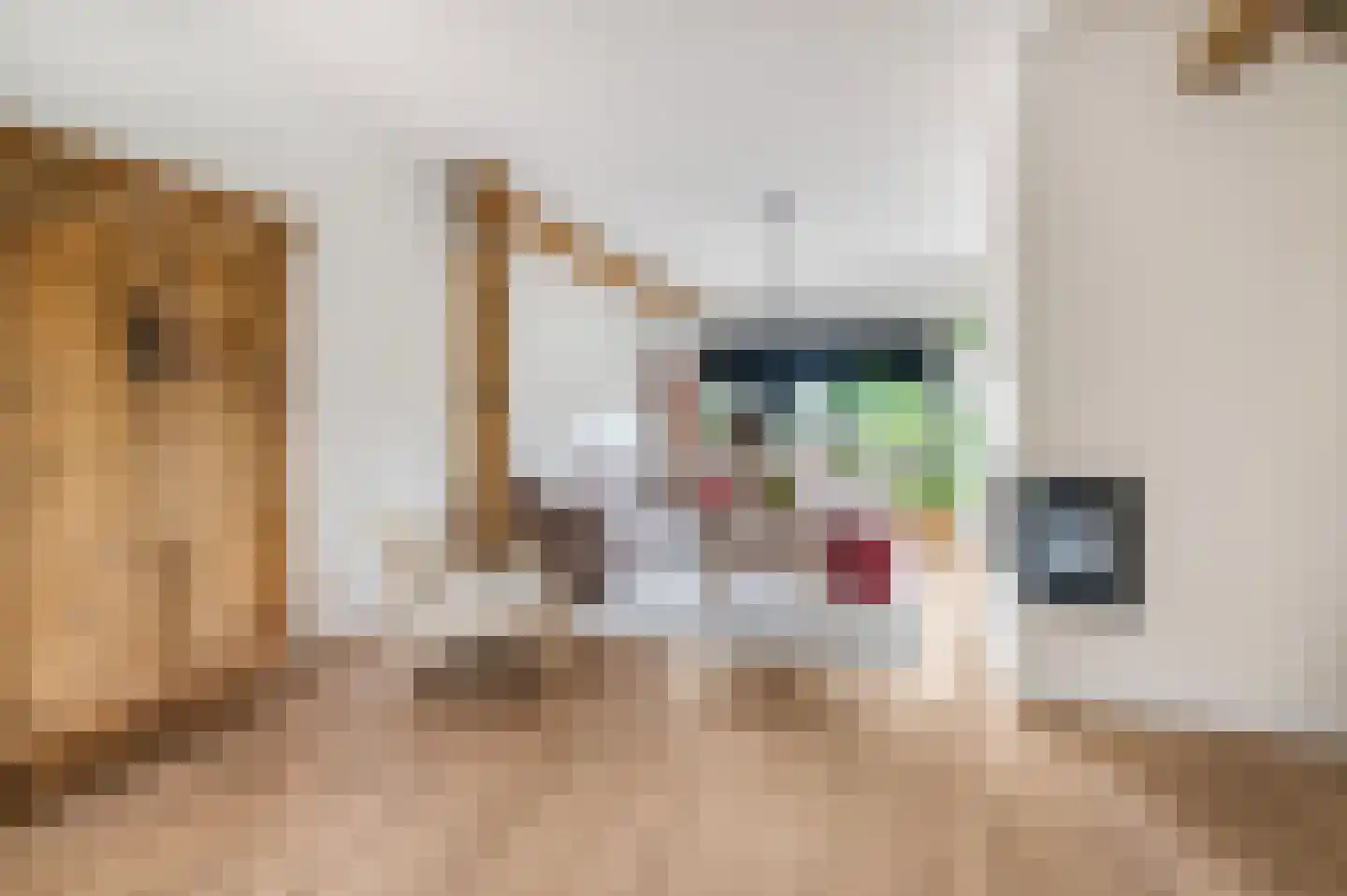 Jacob Catsstraat 9 Kesteren thumbnail 17