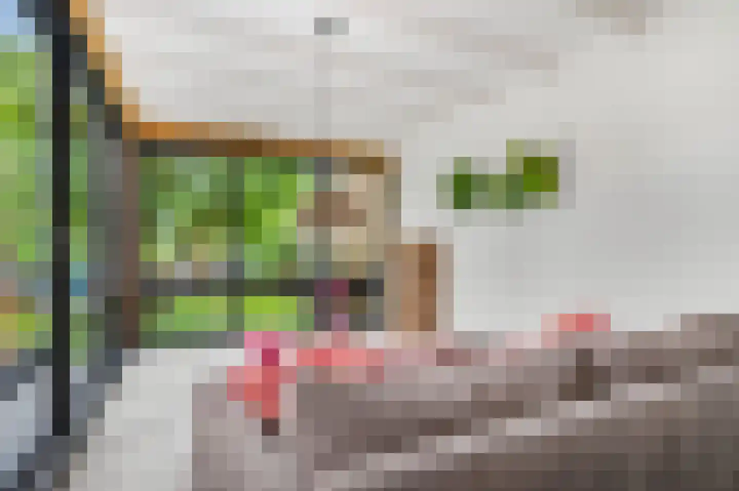 Jacob Catsstraat 9 Kesteren thumbnail 20