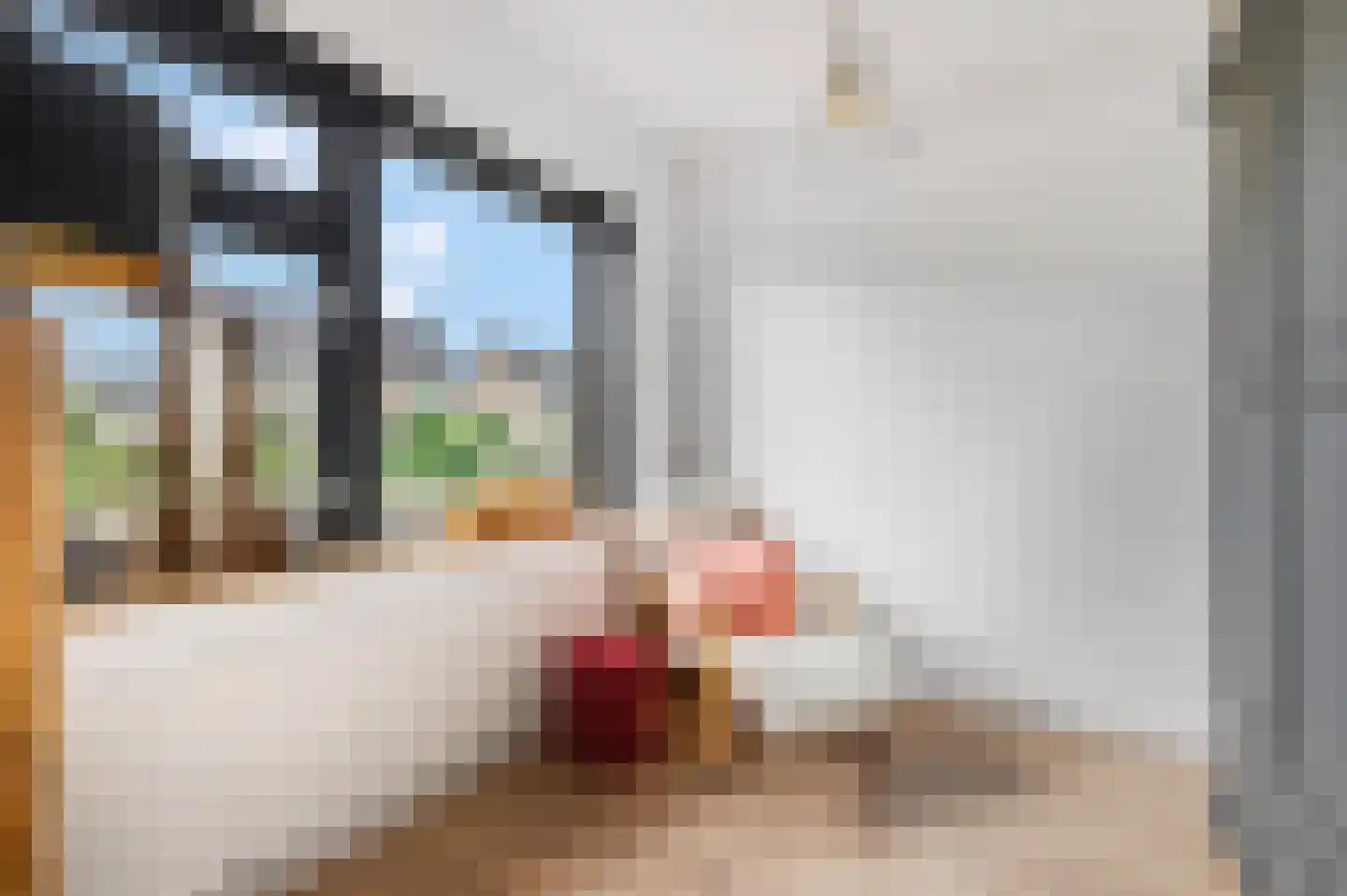 Jacob Catsstraat 9 Kesteren thumbnail 23
