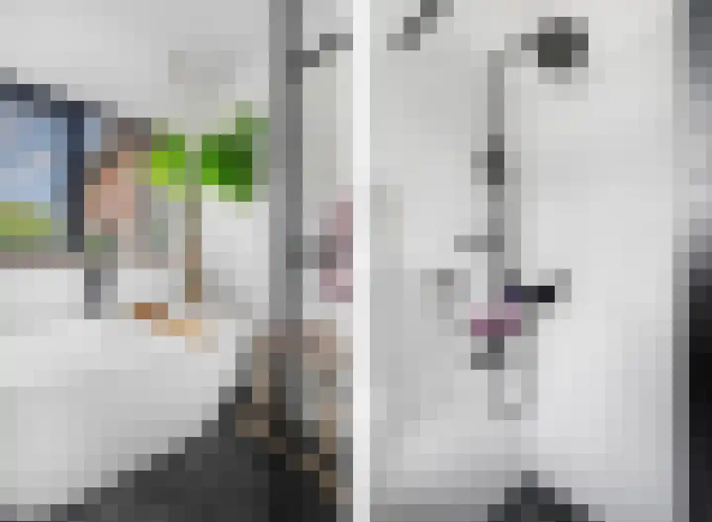 Jacob Catsstraat 9 Kesteren thumbnail 28