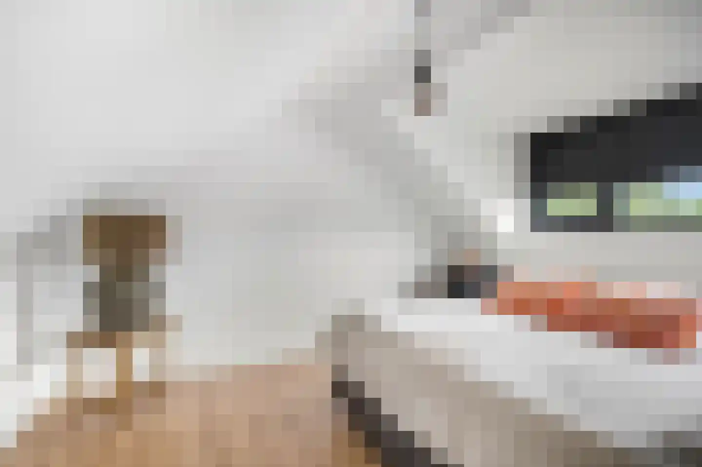 Jacob Catsstraat 9 Kesteren thumbnail 30