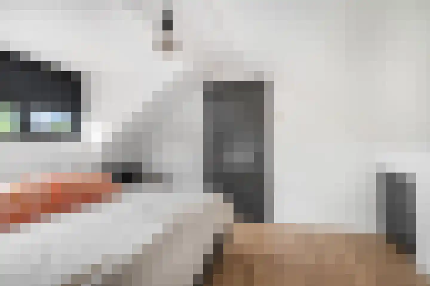 Jacob Catsstraat 9 Kesteren thumbnail 31