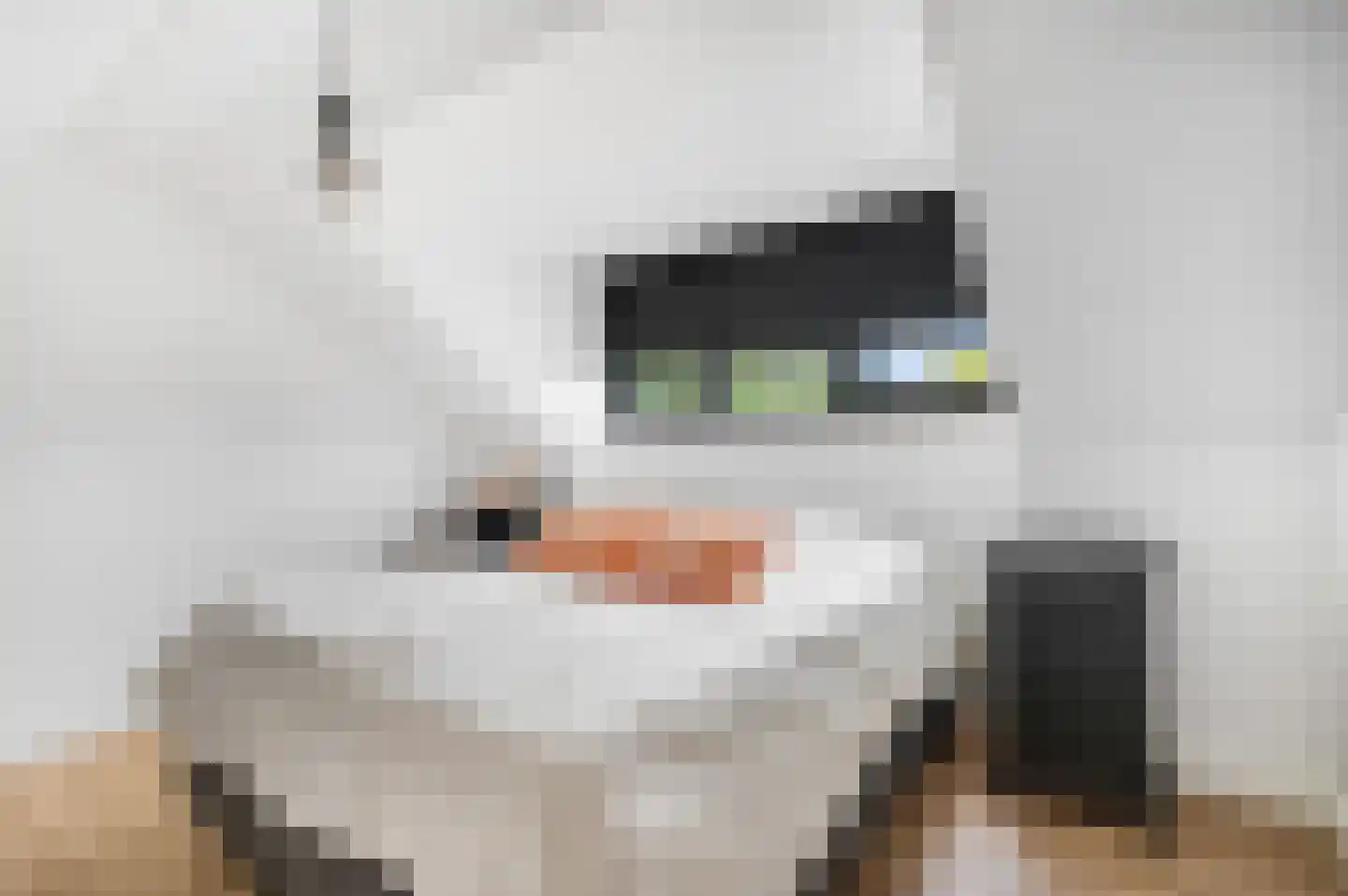 Jacob Catsstraat 9 Kesteren thumbnail 32