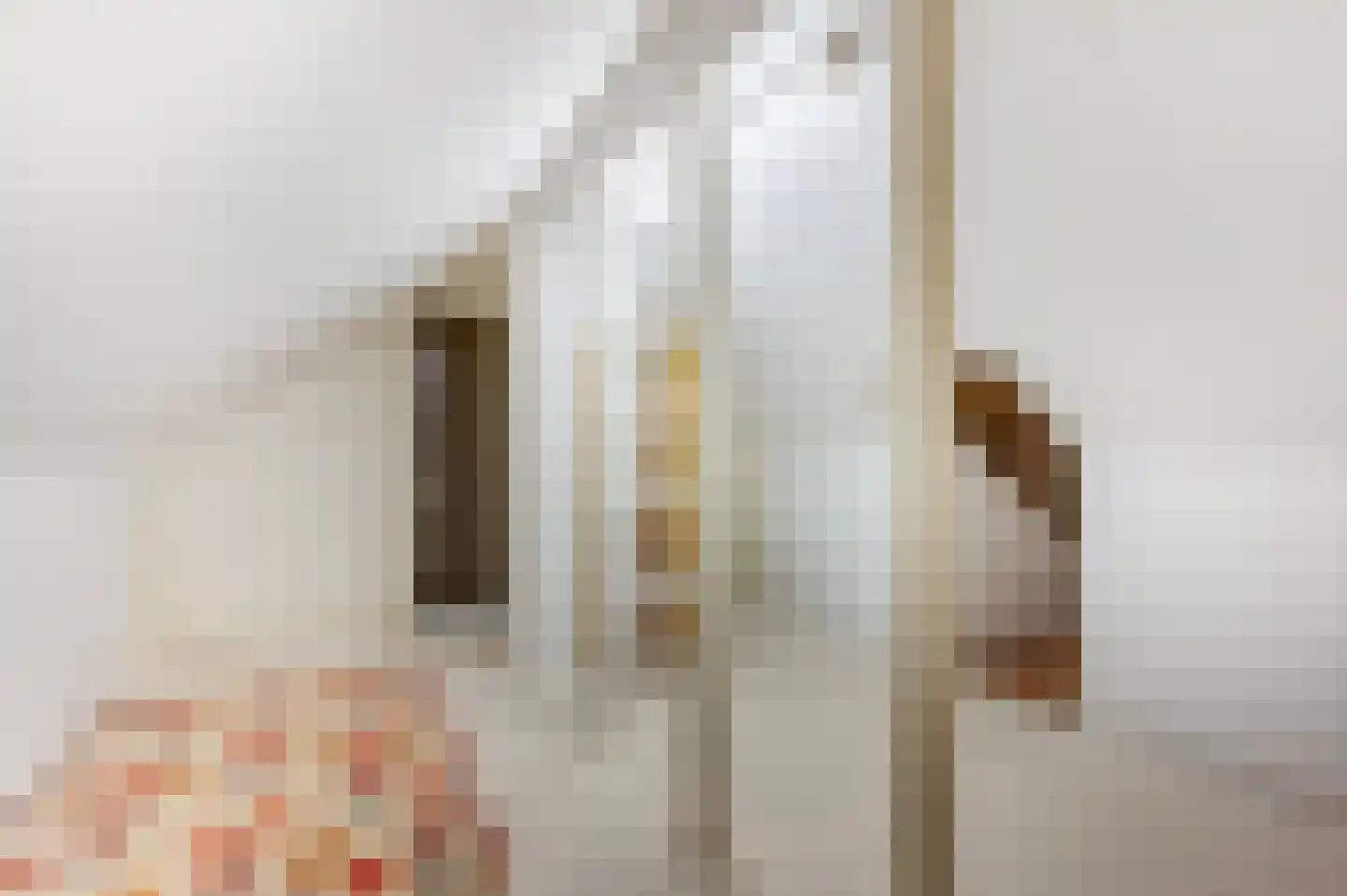 Jacob Catsstraat 9 Kesteren thumbnail 33