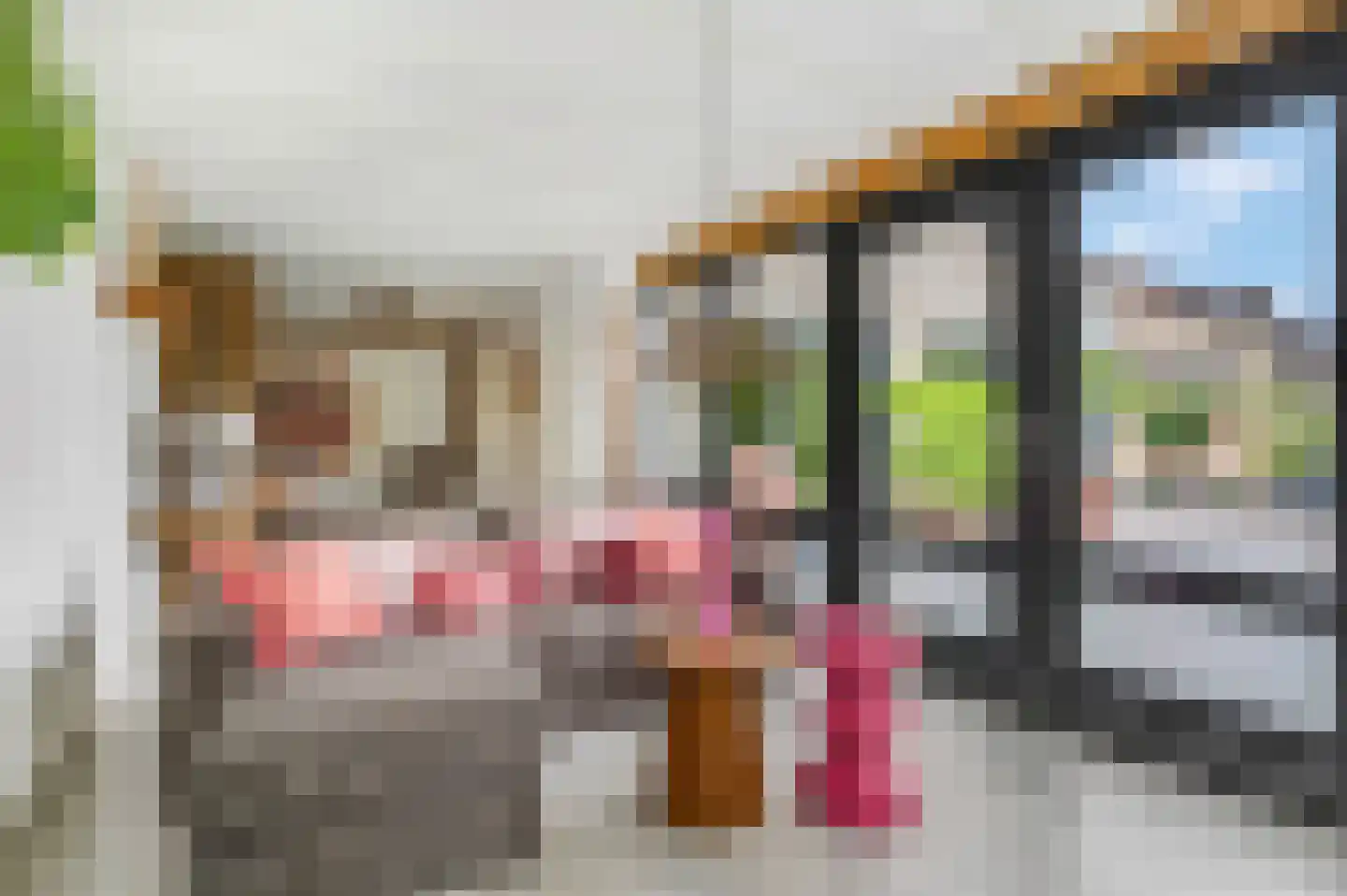 Jacob Catsstraat 9 Kesteren thumbnail 4