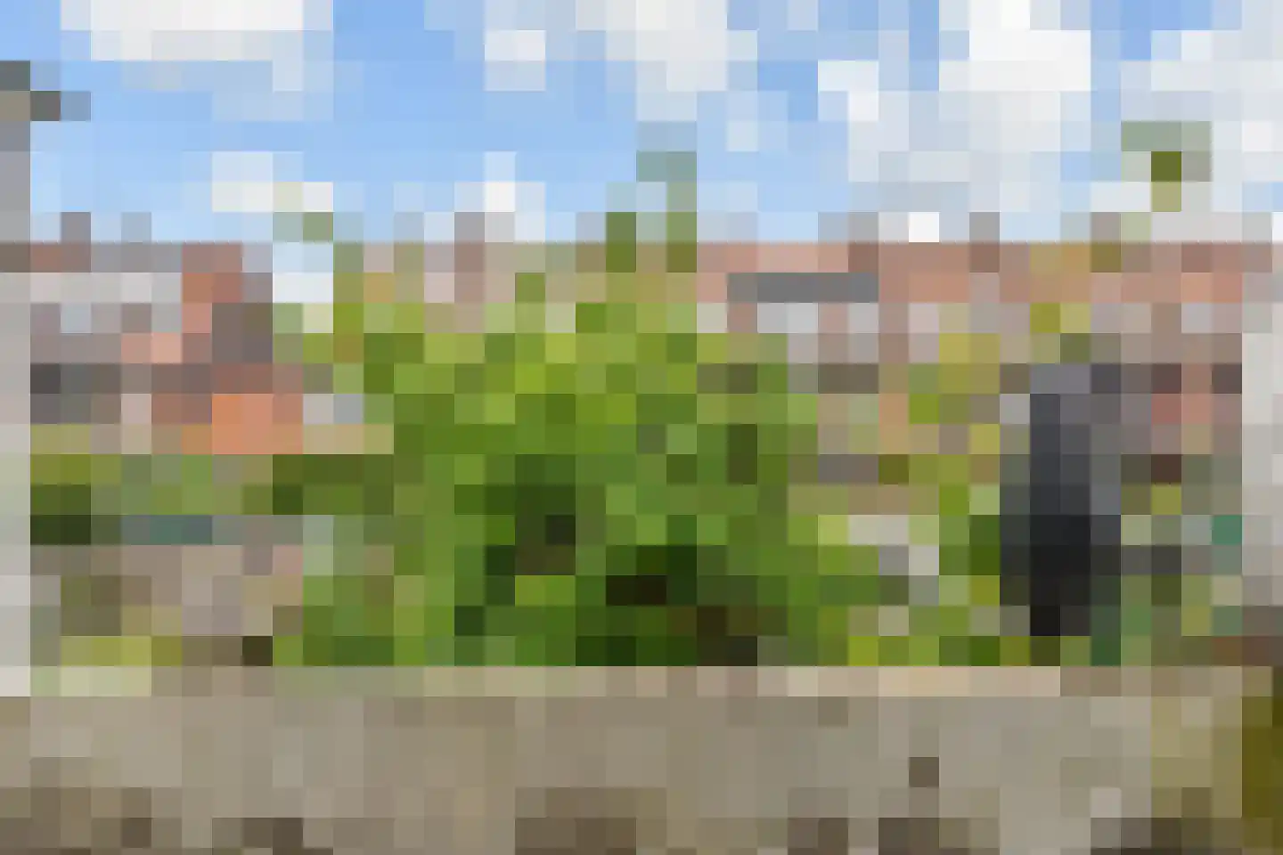 Jacob Catsstraat 93 Voorburg thumbnail 12