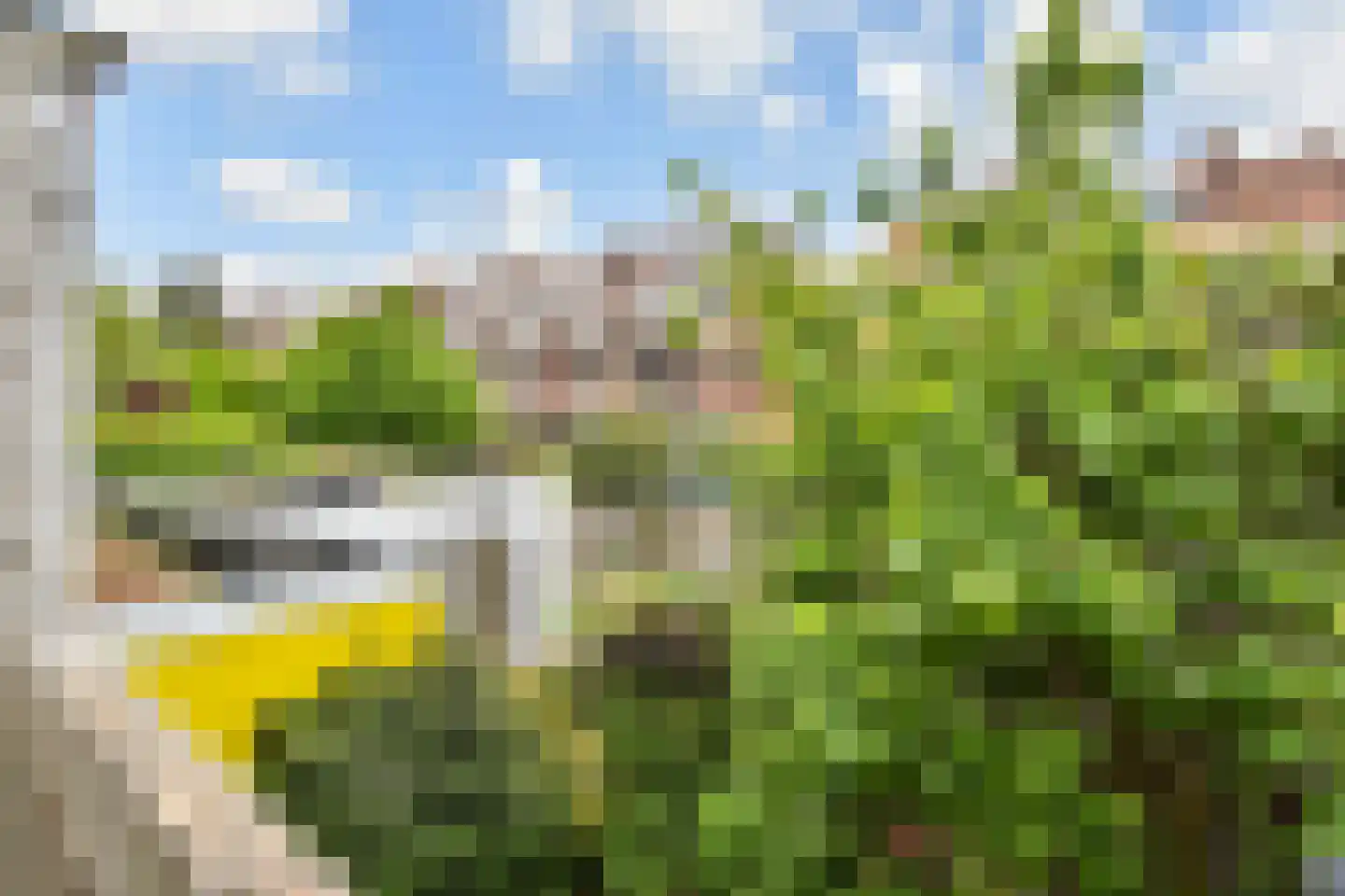 Jacob Catsstraat 93 Voorburg thumbnail 13