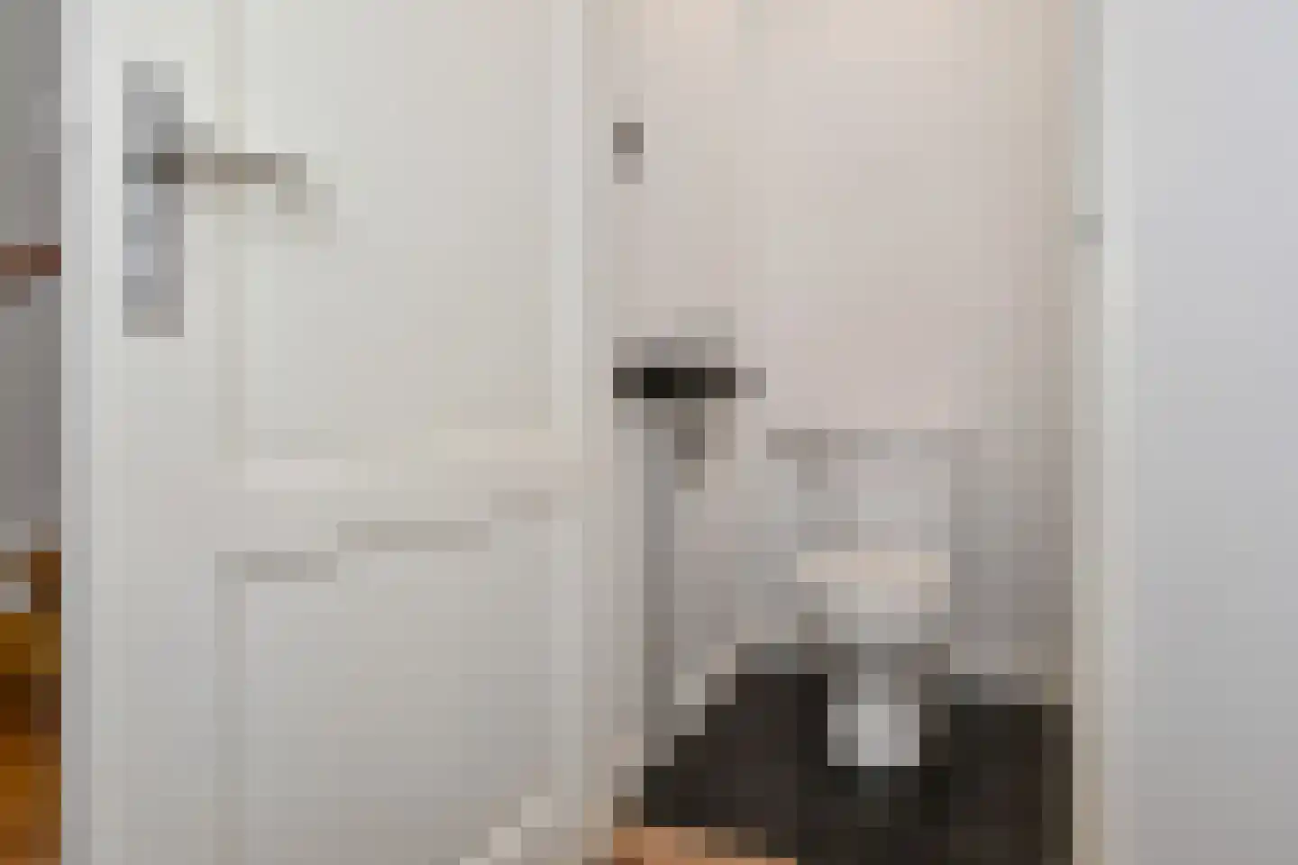 Jacob Catsstraat 93 Voorburg thumbnail 19