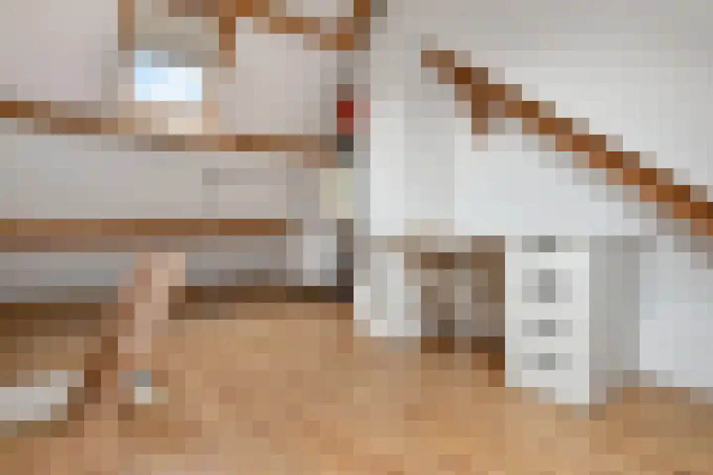 Jacob Catsstraat 93 Voorburg thumbnail 32