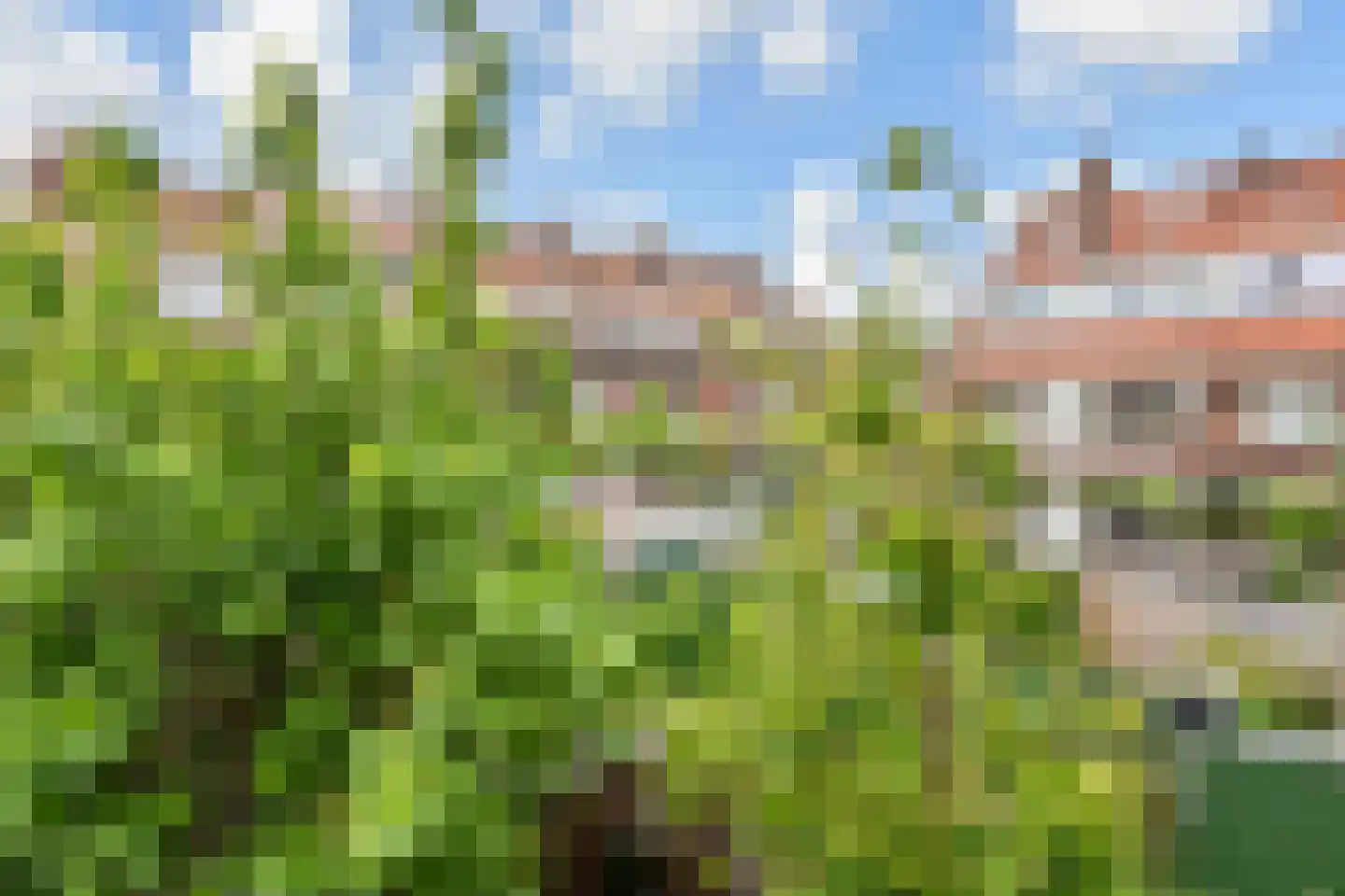 Jacob Catsstraat 93 Voorburg thumbnail 34