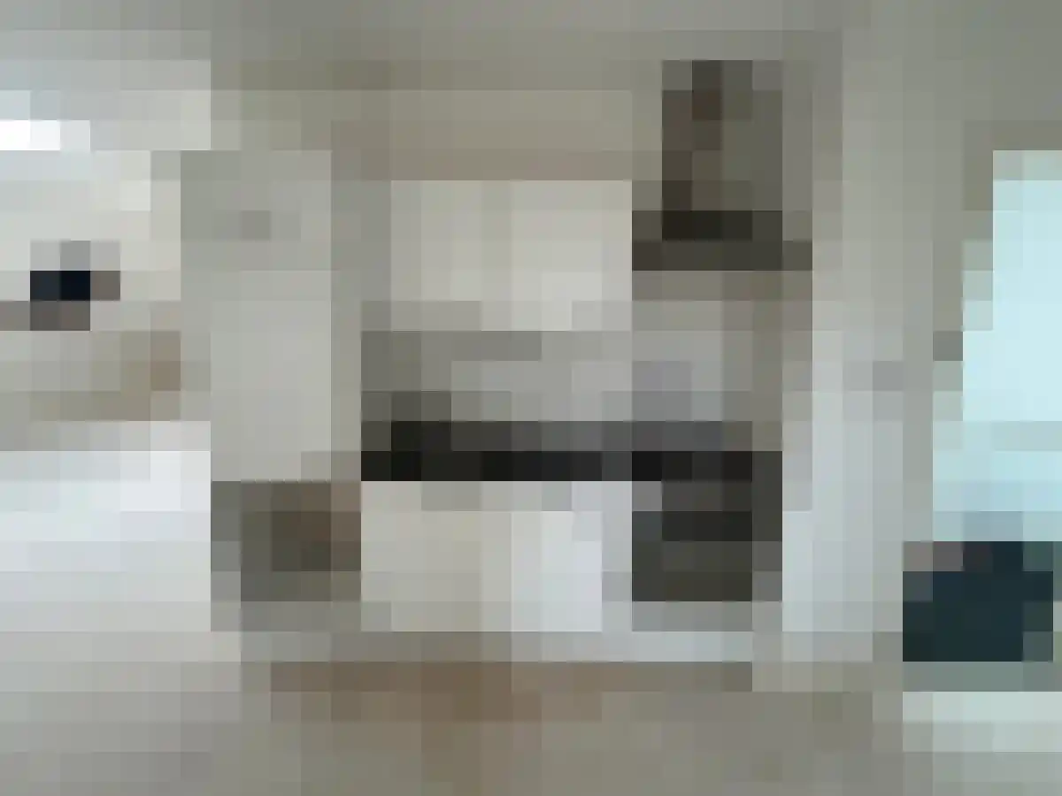 Jacob Catsstraat 95 Rotterdam thumbnail 5