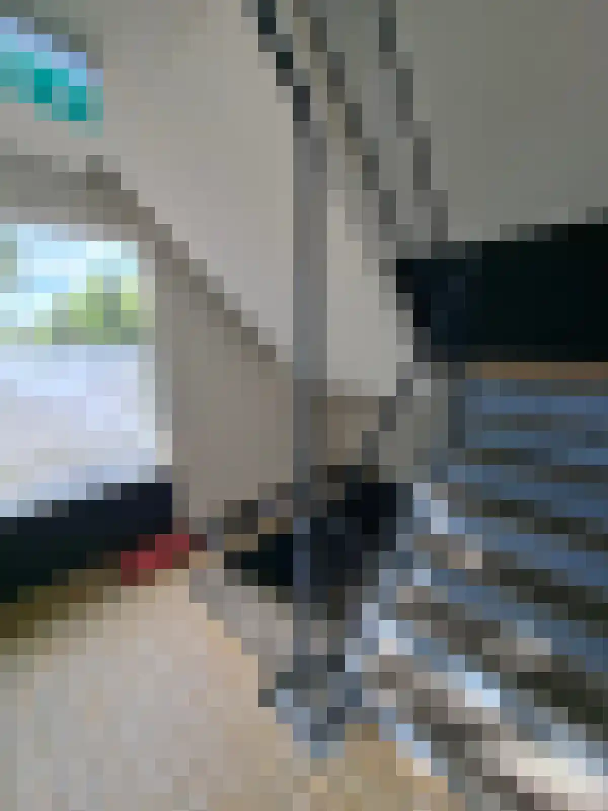 Jacob Catsstraat 's-Hertogenbosch thumbnail 4