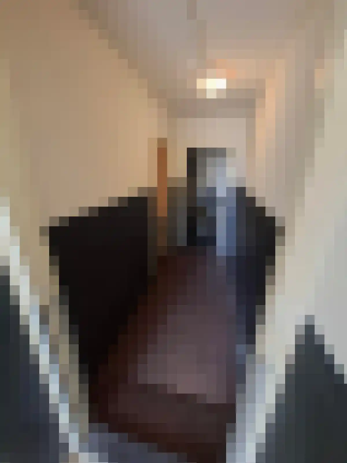 Jacob Catsstraat 's-Hertogenbosch thumbnail 5