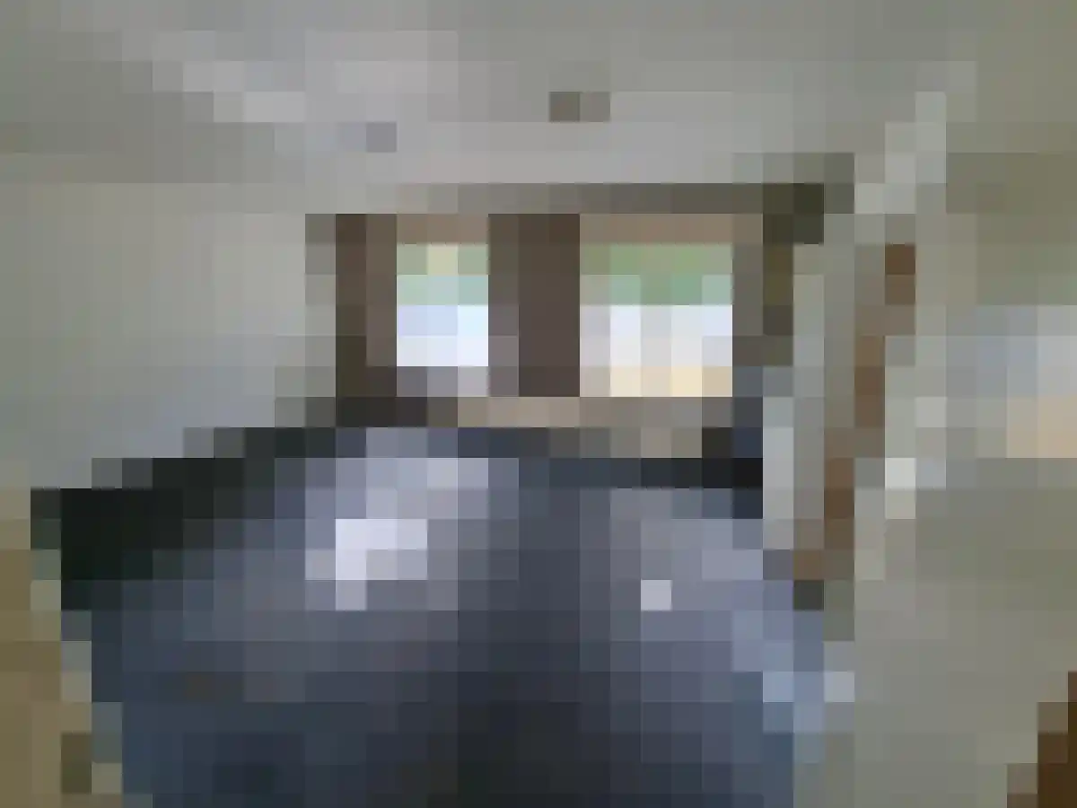 Jacob Catsstraat 's-Hertogenbosch thumbnail 6