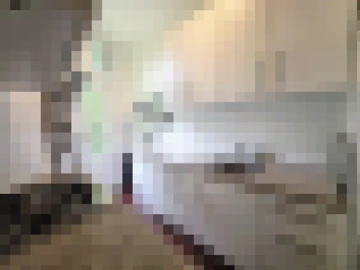 Jacob Catsstraat Utrecht thumbnail 5